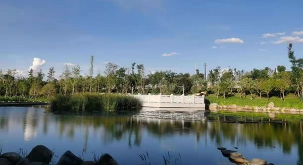 昆明秧草凹污水處理廠尾水物化--生態組合深度處理系統項目（EPC+O）