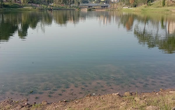 重慶高新區(qū)巴福鎮(zhèn)大溪河水系生態(tài)修復(fù)工程項目